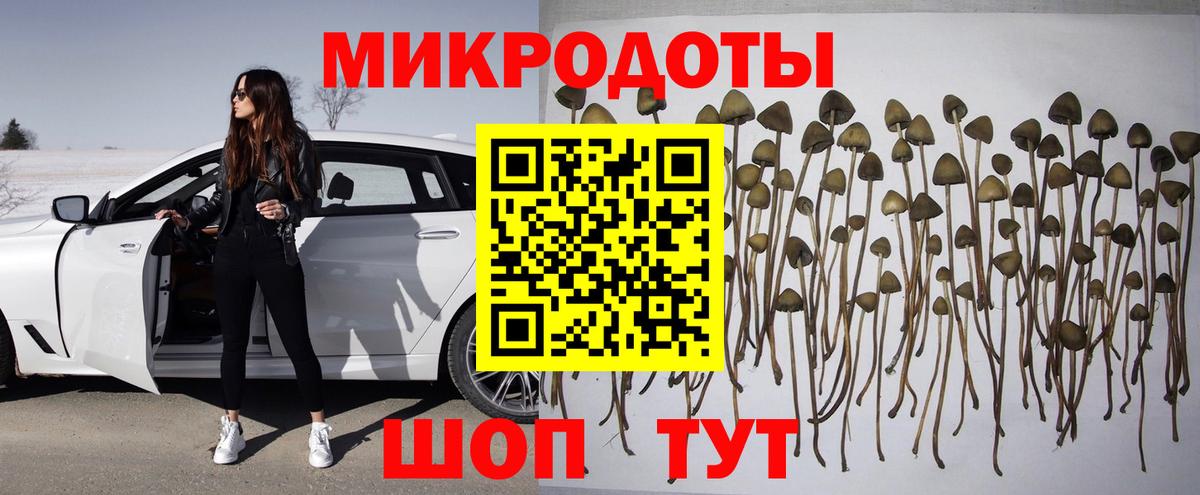 Ленинск-Кузнецкий  Псилоцибиновые грибы Psilocybe  Вход с VPN 